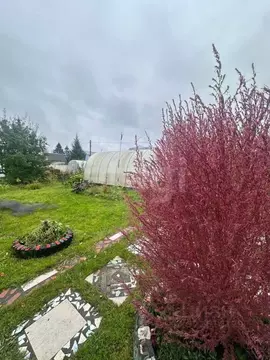 Дом в Вологодская область, Радужное ТСН 218 (40 м)