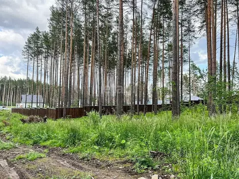 Участок в Свердловская область, Сысерть Сосновый Бор мкр,  (10.0 сот.)