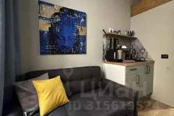 1-к кв. Санкт-Петербург Литейный просп., 31Б (15.0 м)