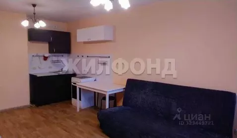 1-к кв. Новосибирская область, Новосибирск ул. Виктора Уса, 7 (27.0 м)