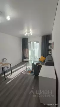 Студия Санкт-Петербург Дальневосточный просп., 23 (24.0 м)