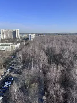 Комната Москва ул. Лескова, 3А (14.4 м)