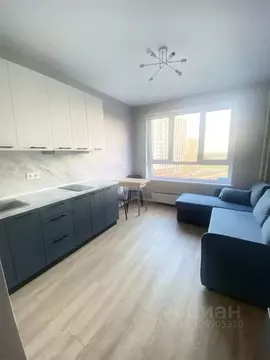 Студия Московская область, Балашиха ул. Романычева, 4 (19.2 м)