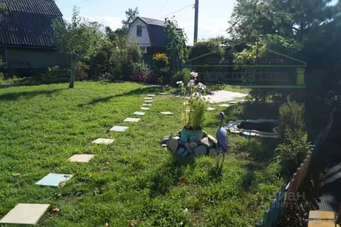 Участок в Приморский край, Надеждинский муниципальный округ, Спутник ...