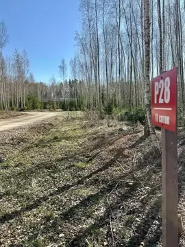 Участок в Московская область, Ступино городской округ, Шелково Форест ...