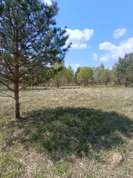 Участок в Калужская область, Малоярославецкий район, Кудиново с/пос, ...