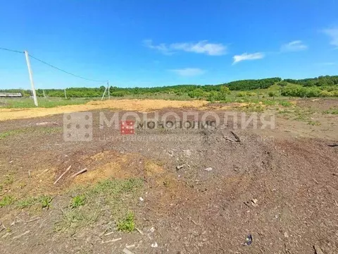 Участок в Амурская область, Серышевский муниципальный округ, с. ...