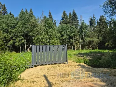 Участок в Ленинградская область, Гатчинский муниципальный округ, д. ...