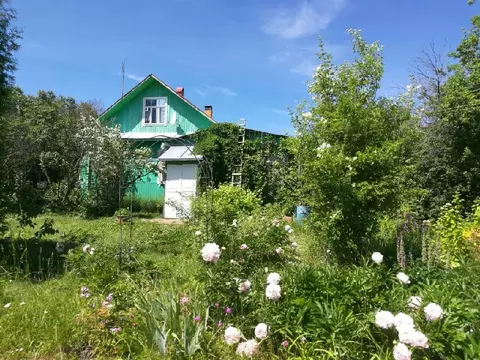 Продается дом в д. Пантелеево