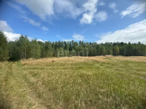 Участок в Костромская область, Красное-на-Волге пгт пл. Красная (10.0 ...