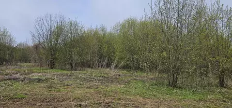Участок в Московская область, Луховицы муниципальный округ, с. ...
