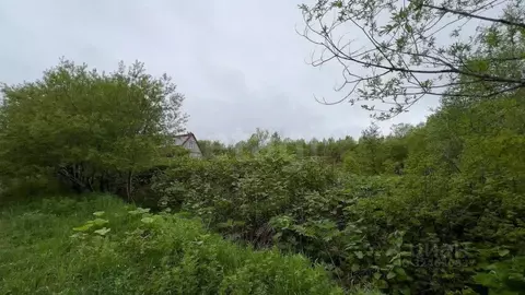 Участок в Сахалинская область, Анивский городской округ, с. Троицкое, ...