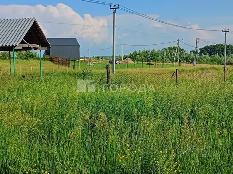Участок в Алтайский край, Барнаул городской округ, пос. Центральный ...