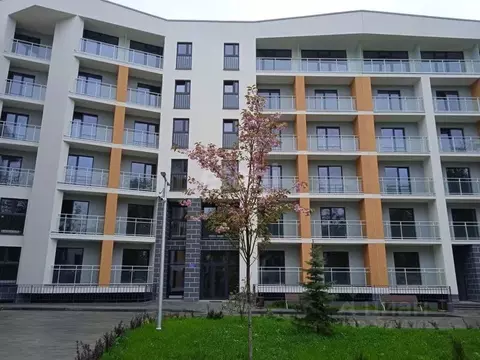 2-к кв. Калининградская область, Светлогорск ул. Кленовая, 2 (69.02 м)