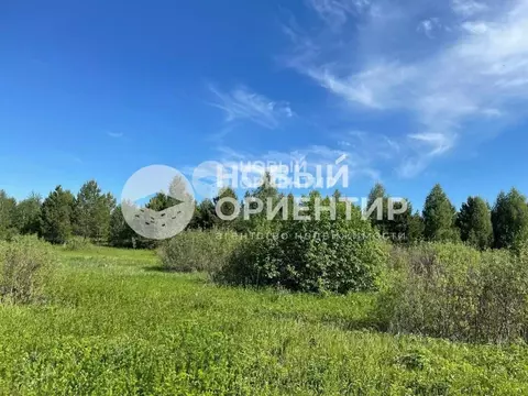 Участок в Челябинская область, Каслинский район, д. Григорьевка, Новая ...