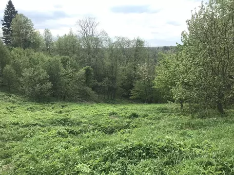Участок, 6 сот., 0