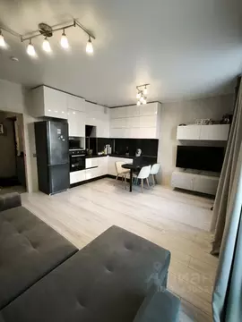 2-к кв. Пермский край, Пермь ул. Сакко и Ванцетти, 97 (43.9 м)