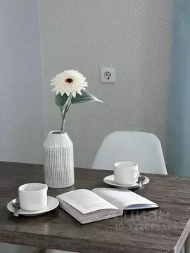 Студия Башкортостан, Уфа ул. Летчика Кобелева, 3/2 (24.0 м)