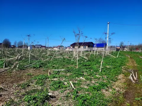 Участок в Коми, Сыктывдинский район, с. Выльгорт ул. Березовая (8.0 ...