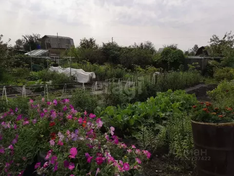 Дом в Омская область, Омск Сибирский Садовод-4 СНТ, аллея 5-я (25 м)