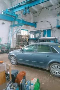 Помещение свободного назначения в Брянская область, Новозыбков ул. ...