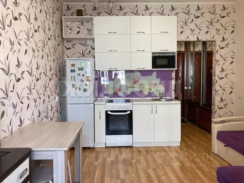 1-к кв. Новосибирская область, Новосибирск ул. Одоевского, 1/2 (19.2 ...