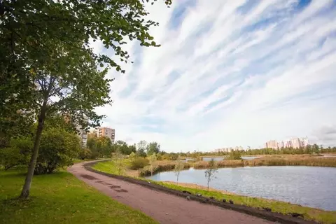 2-к кв. Санкт-Петербург пос. Металлострой, Центральная ул., 15 (43.4 ...