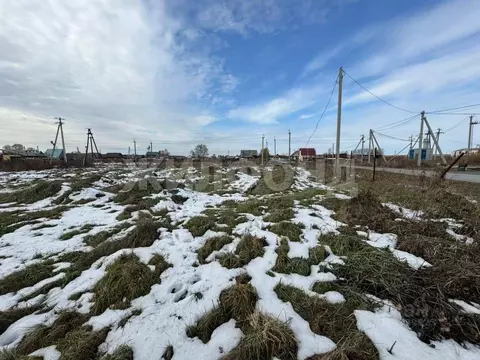 Участок в Новосибирская область, Колыванский район, д. Воробьево ...