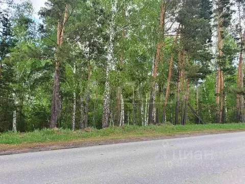 Участок в Курганская область, Курган Центральный жилрайон, ул. 1 Мая ...