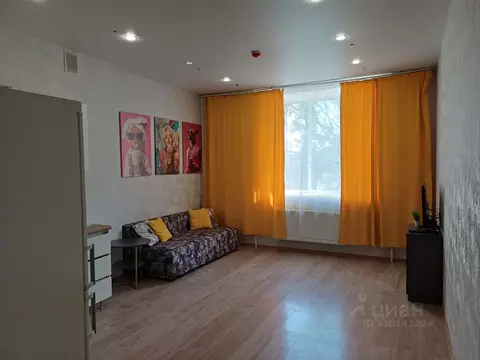 Студия Пермский край, Пермь ул. Куйбышева, 109А (27.7 м)