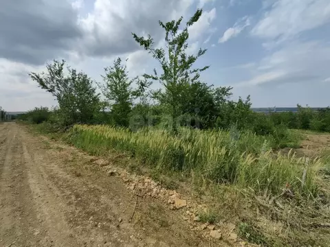 Участок в Ростовская область, Родионово-Несветайский район, ...