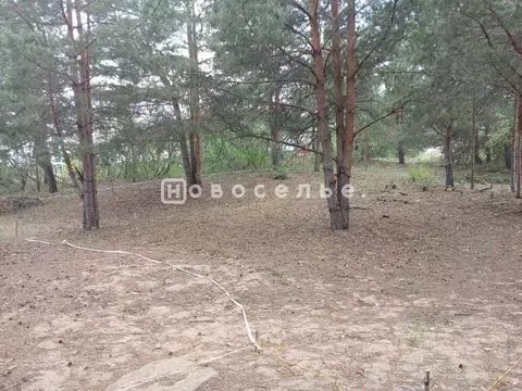 Участок в Рязанская область, Рязанский район, Заокское с/пос, с. ...