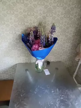 1-к кв. Костромская область, Кострома ул. Титова, 2 (32.0 м)