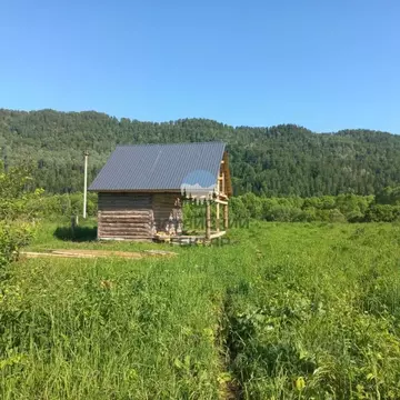 Дом в Алтай, Чойский район, Паспаульское с/пос, с. Левинка  (47 м)