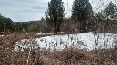 Участок в Иркутская область, Шелеховский район, Подкаменское ...