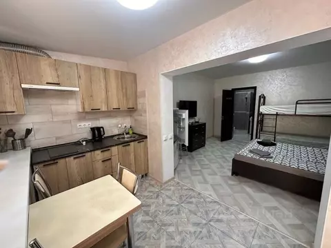 Студия Севастополь с. Орловка, ш. Качинское, 33-Б (28.0 м)