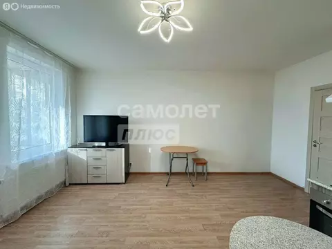 Квартира-студия: Санкт-Петербург, проспект Ветеранов, 171к1 (24 м)