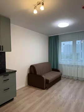 Студия Санкт-Петербург ул. Пахомовская, 14к2 (25.0 м)