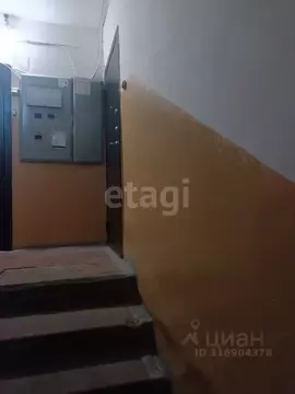 3-к кв. Белгородская область, Губкин ул. Раевского, 2 (63.2 м)