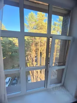 1-к кв. Рязанская область, Рязань Солотча р-н, пос. Мещерский Филиал ...