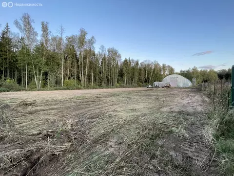 Участок в Московская область, 46К-3150 (288 м)