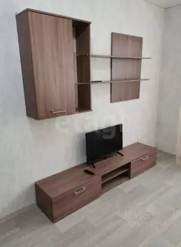 Студия Башкортостан, Уфа ул. Энтузиастов, 15 (24.0 м)