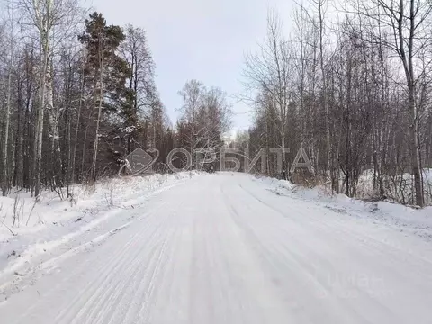 Участок в Тюменская область, Нижнетавдинский муниципальный округ, ...