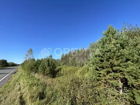 Участок в Тюменская область, Нижнетавдинский муниципальный округ, д. ...