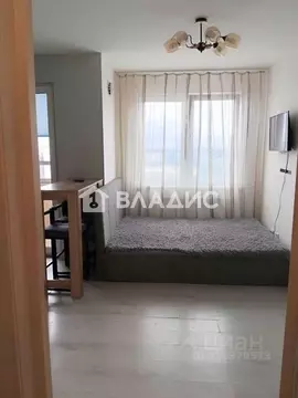 Студия Санкт-Петербург ул. Чарушинская, 24к1 (26.4 м)