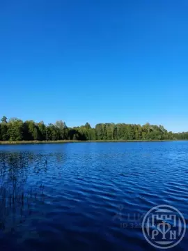 Участок в Ленинградская область, Лужский район, Скребловское с/пос, д. ...