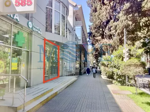 Помещение свободного назначения в Краснодарский край, Сочи Центральный ...