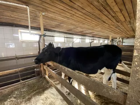 Производственное помещение в Свердловская область, Горноуральский ...