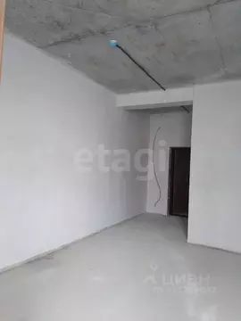 Студия Крым, Черноморское пгт ул. Сигнальная (28.0 м)