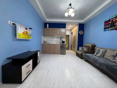 Студия Краснодарский край, Сочи ул. Просвещения, 118/1 (27.0 м)